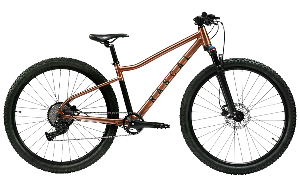 Rascal Wild 29" Bronze